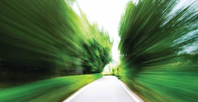 Image of trees and road wizzing by really fast