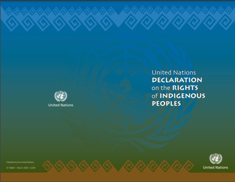 United Nations Declaration on the Rights of Indigenous People